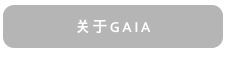 关于GAIA